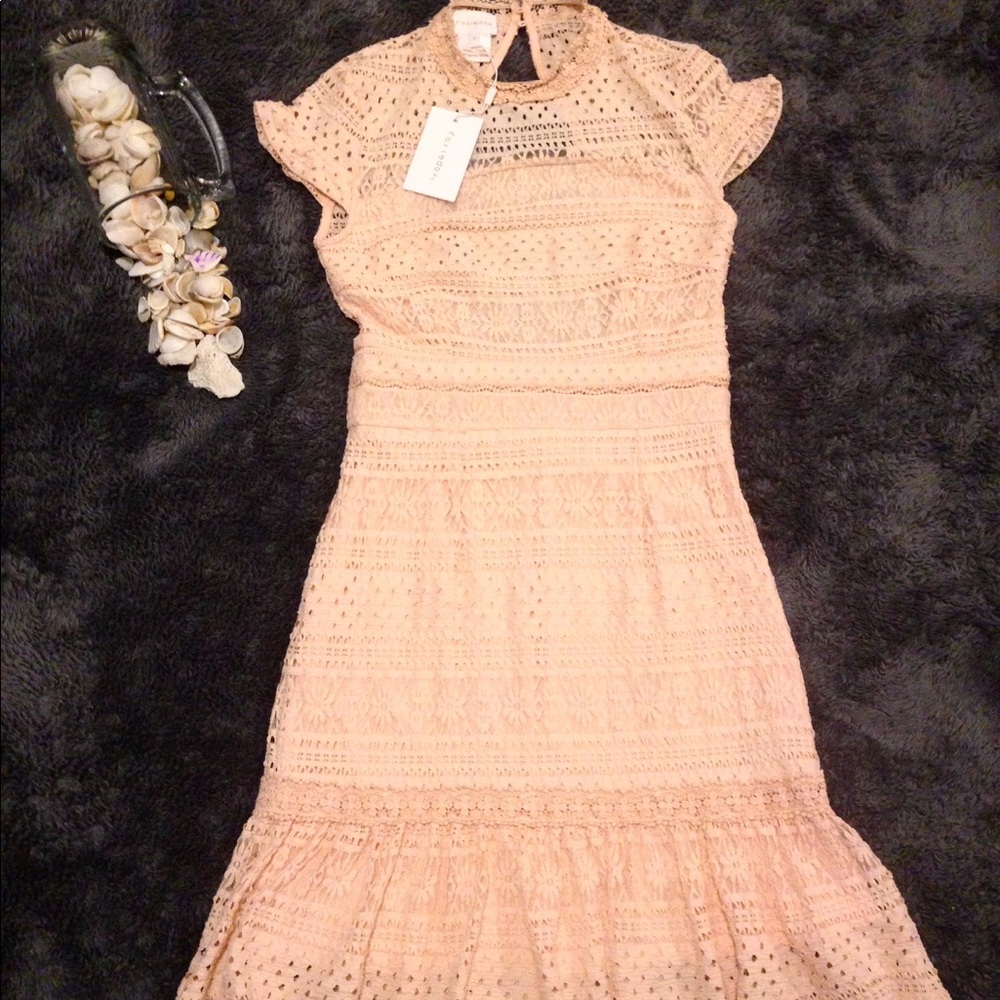 foxiedox dress with open back - Picture 5 of 5